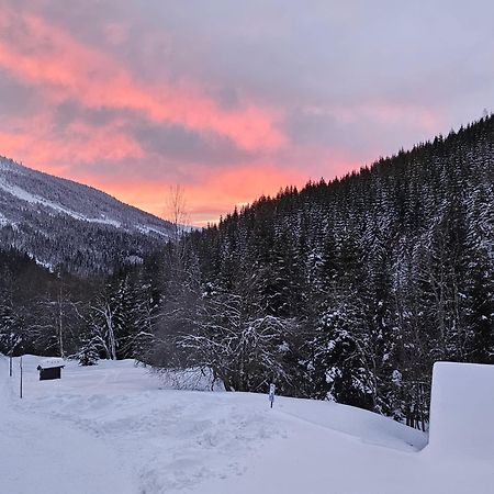 Bouda Bile Labe Hotel Špindlerŭv Mlýn Екстериор снимка