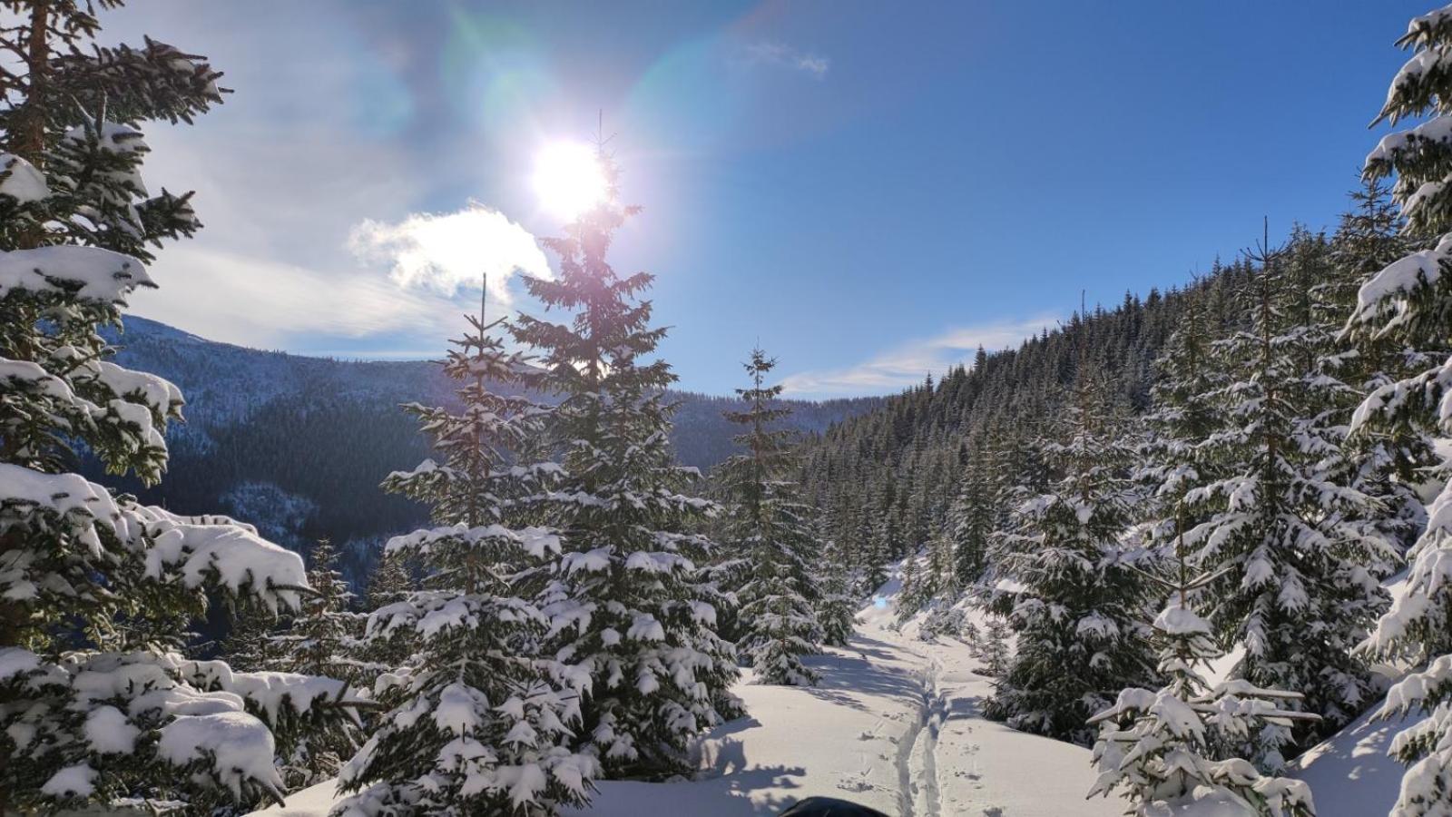 Bouda Bile Labe Hotel Špindlerŭv Mlýn Екстериор снимка